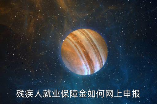 殘疾人保障金公告在什么網址，殘疾人就業(yè)保障金如何網上申報