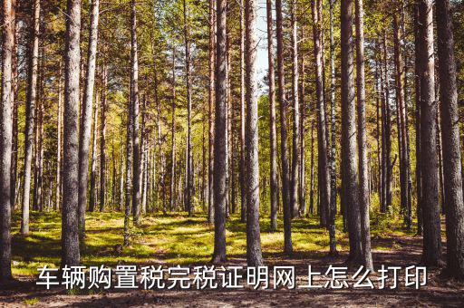 什么是購(gòu)置稅完稅證明，車(chē)輛購(gòu)置稅完稅證明是什么它在二手車(chē)交易中起什么作用