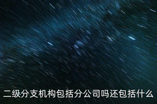 什么是二級(jí)分支機(jī)構(gòu)，現(xiàn)在分公司要辦稅務(wù)登記證但是我想問(wèn)一下二級(jí)分機(jī)構(gòu)指的是
