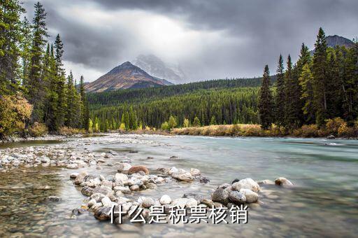 國(guó)稅局核銷是什么意思，增值稅專用發(fā)票核銷是什么意思