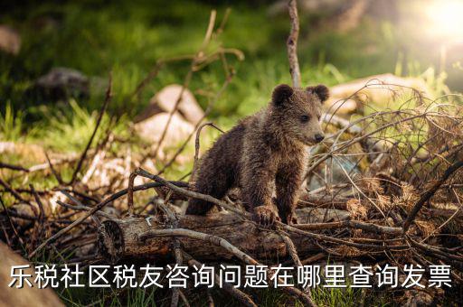 樂稅社區(qū)稅友咨詢問(wèn)題在哪里查詢發(fā)票