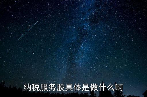 納稅服務(wù)股是什么意思，納稅服務(wù)股具體是做什么啊