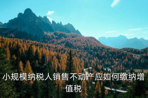 小規(guī)模納稅人銷售不動產應如何繳納增值稅