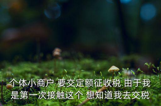 定額納稅到什么地方繳，定額征收的個體需繳納什么地稅