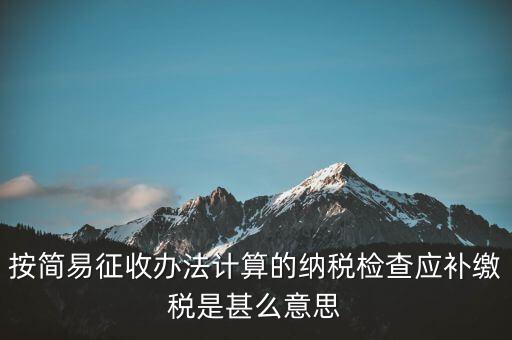 簡(jiǎn)易征收什么意思，按簡(jiǎn)易征收辦法計(jì)算的納稅檢查應(yīng)補(bǔ)繳稅是甚么意思