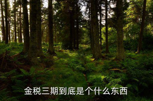 金三上線是什么意思，什么是稅務(wù)金山系統(tǒng)