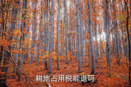 耕地占用稅什么情況可以退，占用耕地罰款后拆遷還能退嗎