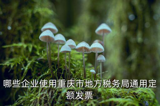 定額發(fā)票什么行業(yè)，哪些企業(yè)能買手撕定額發(fā)票小規(guī)模生產(chǎn)企業(yè)已經(jīng)開(kāi)了普通發(fā)票能買