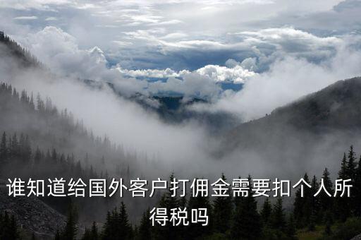收到境外傭金交什么稅，關(guān)于國外支付國內(nèi)傭金方面的稅務(wù)問題