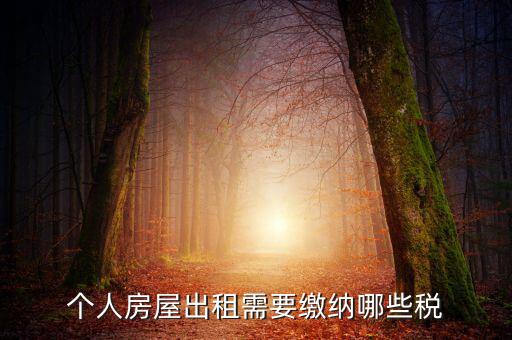 個人租房交什么稅，個人出租房屋要交什么稅費