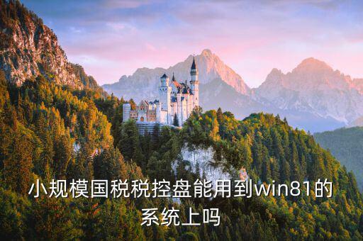 稅盤安裝支持什么系統(tǒng)下載，稅控發(fā)票開票軟件v2130170612能在win10上安裝嗎