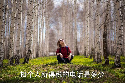 成都查個稅打什么電話，如何查詢個人所得稅明細(xì)