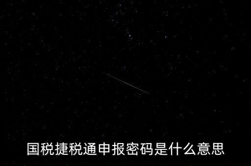 稅務(wù)軟件申報(bào)密碼是什么意思，納稅申報(bào)密碼是什么