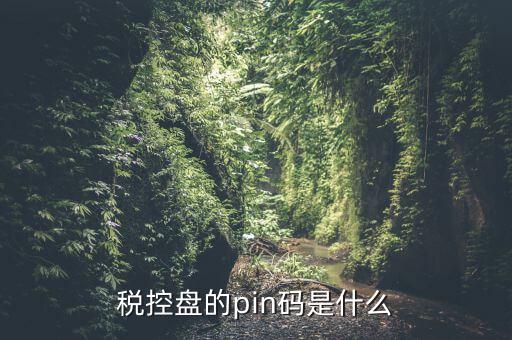 報(bào)稅pin口令是什么，稅控盤(pán)的pin碼是什么