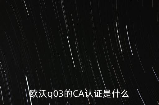 ca認(rèn)證密碼是什么意思，歐沃q03的CA認(rèn)證是什么