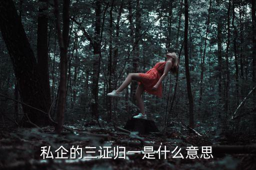 公司的三證合一是什么，什么是三證合一