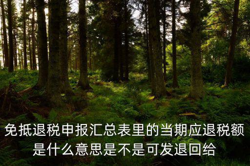 免抵退貨物應(yīng)退稅額是什么意思，免抵退應(yīng)退稅額是什么意思