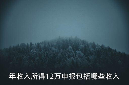 十二萬申報是什么，12萬個稅申報有什么用
