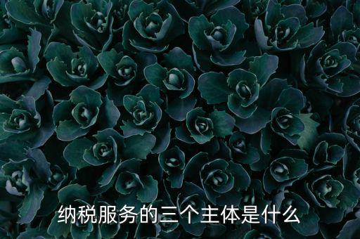 納稅服務(wù) 是什么，納稅服務(wù)的三個主體是什么