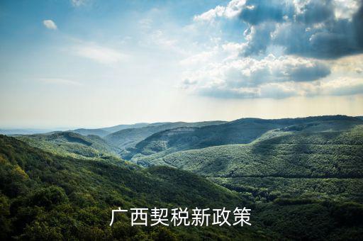 廣西的稅收什么時(shí)候?qū)嵭幸话阌?jì)稅，2022年的廣西稅率