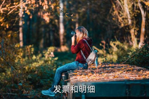 發(fā)票中的明細(xì)是什么意思，發(fā)票的明細(xì)條數(shù)控制在2000條是什么意思