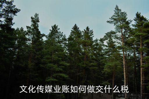 文化傳媒交什么稅，文化傳媒業(yè)賬如何做交什么稅