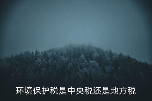 環(huán)境保護(hù)稅的機(jī)關(guān)是什么，環(huán)境保護(hù)稅由哪個(gè)機(jī)關(guān)負(fù)責(zé)征收