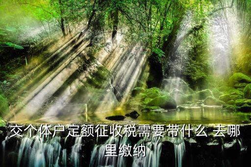個(gè)體戶定額需要準(zhǔn)備什么，交個(gè)體戶定額征收稅需要帶什么 去哪里繳納