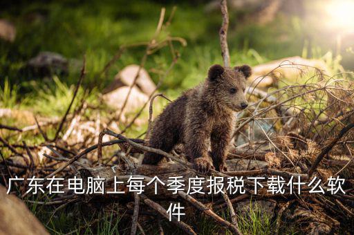 什么是報(bào)稅的客戶端呢，河北國稅網(wǎng)上申報(bào)客戶端和防偽稅控納稅接口 不都是報(bào)稅系統(tǒng)嗎 它