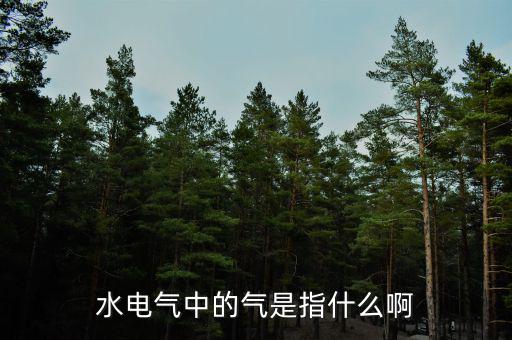水電氣退稅氣指什么，公租房的水電氣的氣是指什么