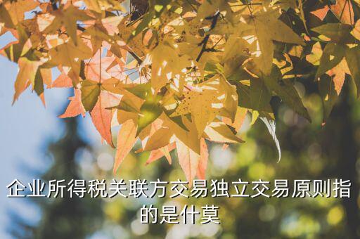 什么是合理商業(yè)目的，如何判斷企業(yè)實(shí)施的納稅籌劃不具有合理商業(yè)目的
