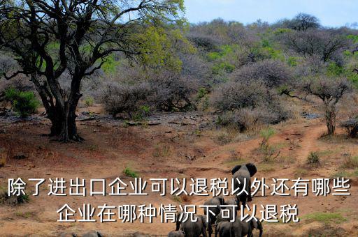 中國(guó)什么公司可以退稅，除了進(jìn)出口企業(yè)可以退稅以外還有哪些企業(yè)在哪種情況下可以退稅