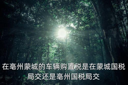 國稅局掛牌是什么意思，濮陽摩托辦照