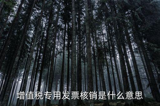 發(fā)票管家是什么，發(fā)票開(kāi)票系統(tǒng)KEY是什么