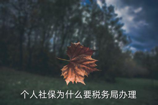 社會(huì)保險(xiǎn)繳納和稅務(wù)局什么關(guān)系，社保為什么要稅務(wù)部門征收