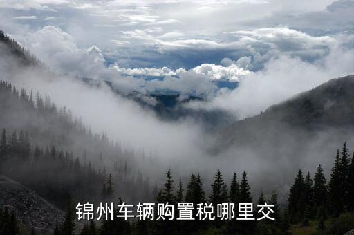 錦州國稅局車輛購置部門是什么，錦州機(jī)動(dòng)車購置稅在哪里交