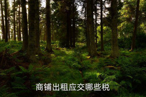 門(mén)面租賃稅是什么，商鋪出租應(yīng)交哪些稅