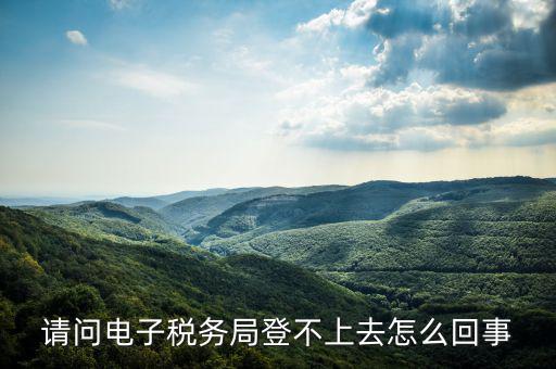 貴州省電子稅務(wù)局為什么進(jìn)不去，請(qǐng)問電子稅務(wù)局登不上去怎么回事