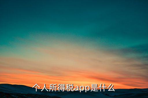 網(wǎng)上交稅要下載什么東西，個人所得稅官網(wǎng)登錄企業(yè)個人所得稅要下載什么端口申報