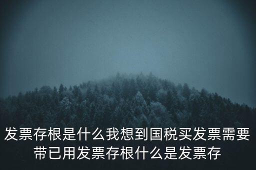 發(fā)票電子存根是什么，發(fā)票存根是什么