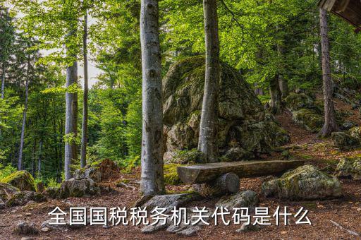 國稅的用戶代碼是什么，國稅局發(fā)票軟件里用戶代碼和密碼是什么