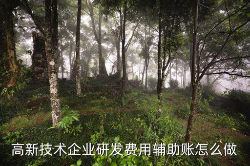 研發(fā)支出輔助賬是什么時(shí)候填，什么企業(yè)需要填 研發(fā)支出輔助賬匯總表