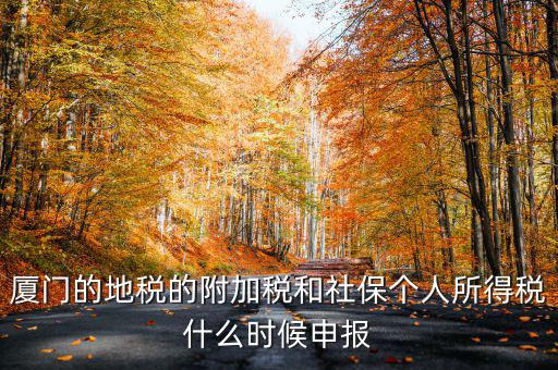 廈門(mén)的地稅的附加稅和社保個(gè)人所得稅什么時(shí)候申報(bào)