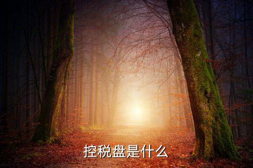 稅控盤是什么，稅控發(fā)票開票軟件 和金稅盤是什么意思