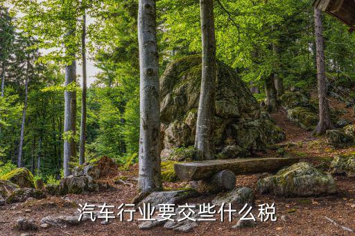 汽車(chē)行業(yè)要交些什么稅