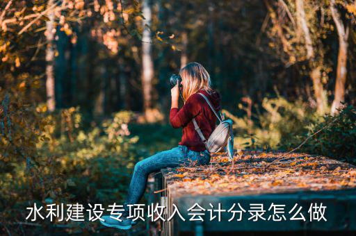 水利建設(shè)專(zhuān)項(xiàng)收入是什么，水利建設(shè)專(zhuān)項(xiàng)收入會(huì)計(jì)分錄怎么做