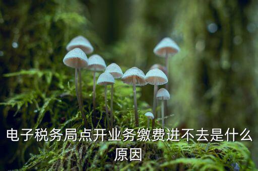 為什么江蘇省電子稅務局進不去，請問電子稅務局登不上去怎么回事