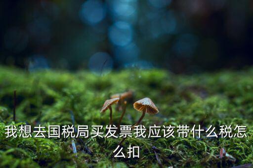 去國稅局扣稅需帶什么，我想去國稅局買發(fā)票我應該帶什么稅怎么扣