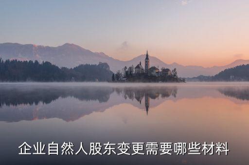 變更自然人登記業(yè)務(wù)需要帶什么，企業(yè)自然人股東變更需要哪些材料