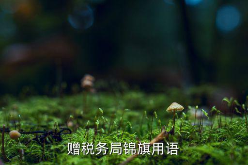 送錦旗給稅局可以寫什么內(nèi)容，贈(zèng)稅務(wù)局錦旗用語